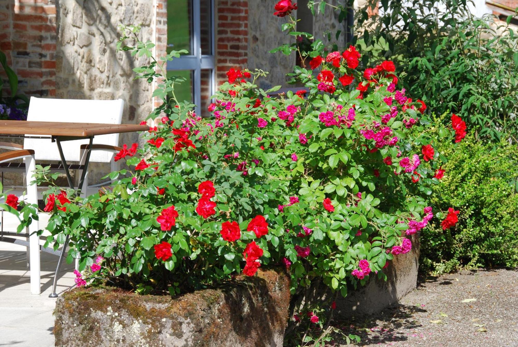 Boisset  Les Maisons De Concasty חדר תמונה